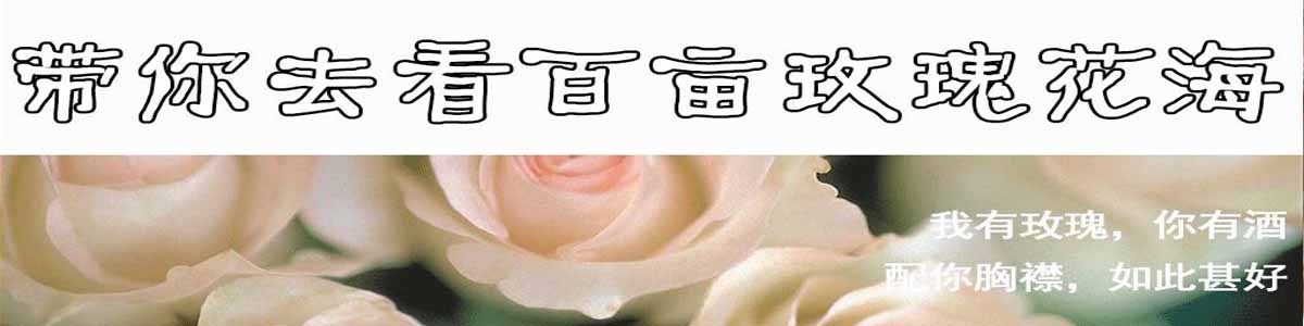 玫瑰花海1.jpg